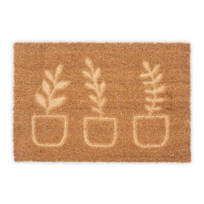 Kokos dørmatte planter
