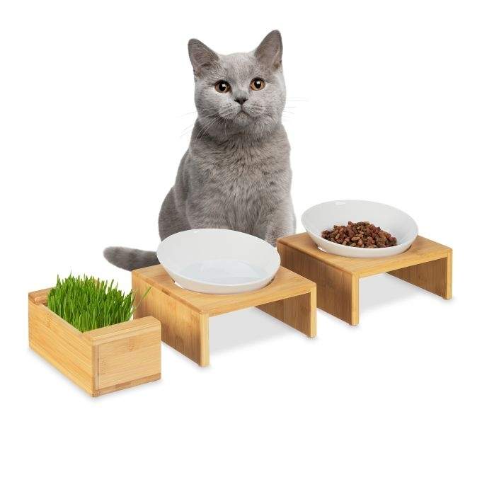 Sett med katteskål og gressskål til katt
