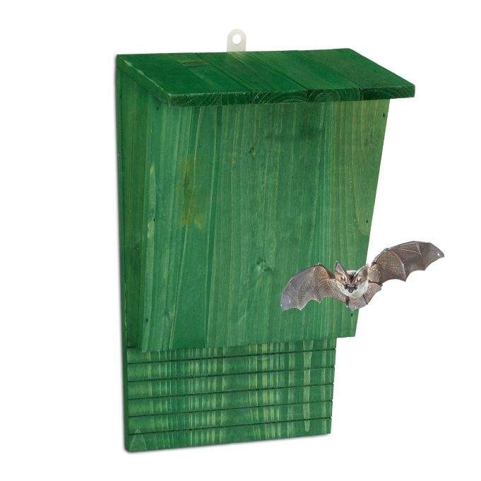 Grønn flaggermuskasse i tre
