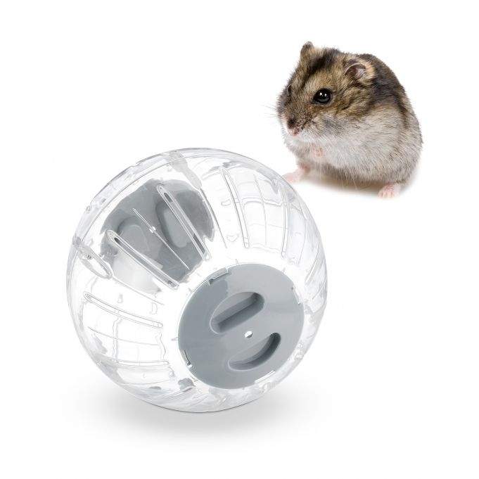 Hamsterball med grått lokk