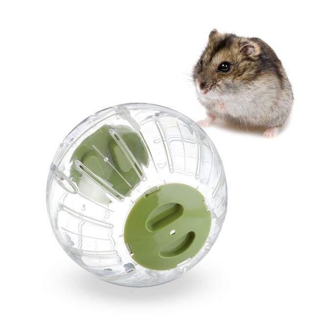 Hamsterball med grønt lokk