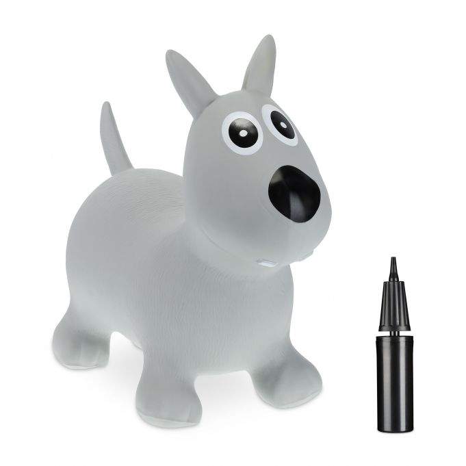 Sprett dyr hund grå