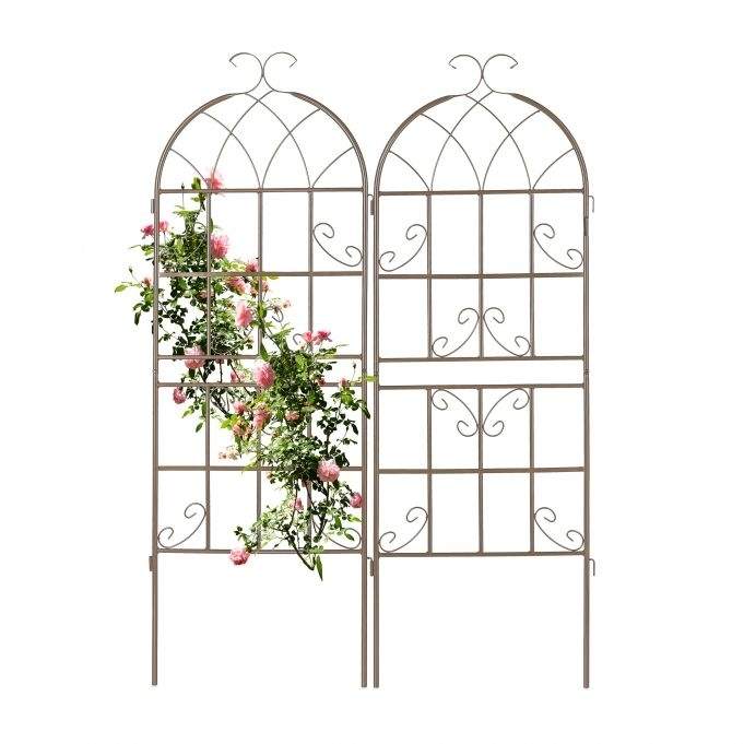 Trellis 150 cm sett med 2 brune