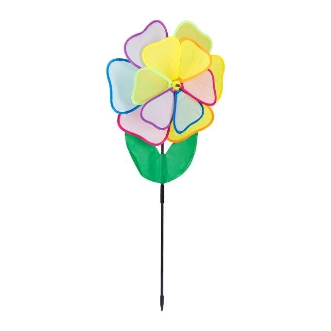 Vindsnurreblomst flerfarget