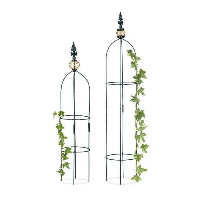 Trellis obelisk sett med to