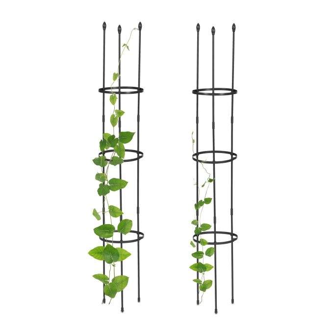 Trellis sett med 2