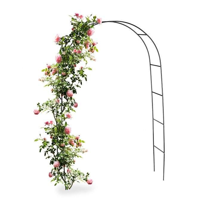 Black Rose Arch