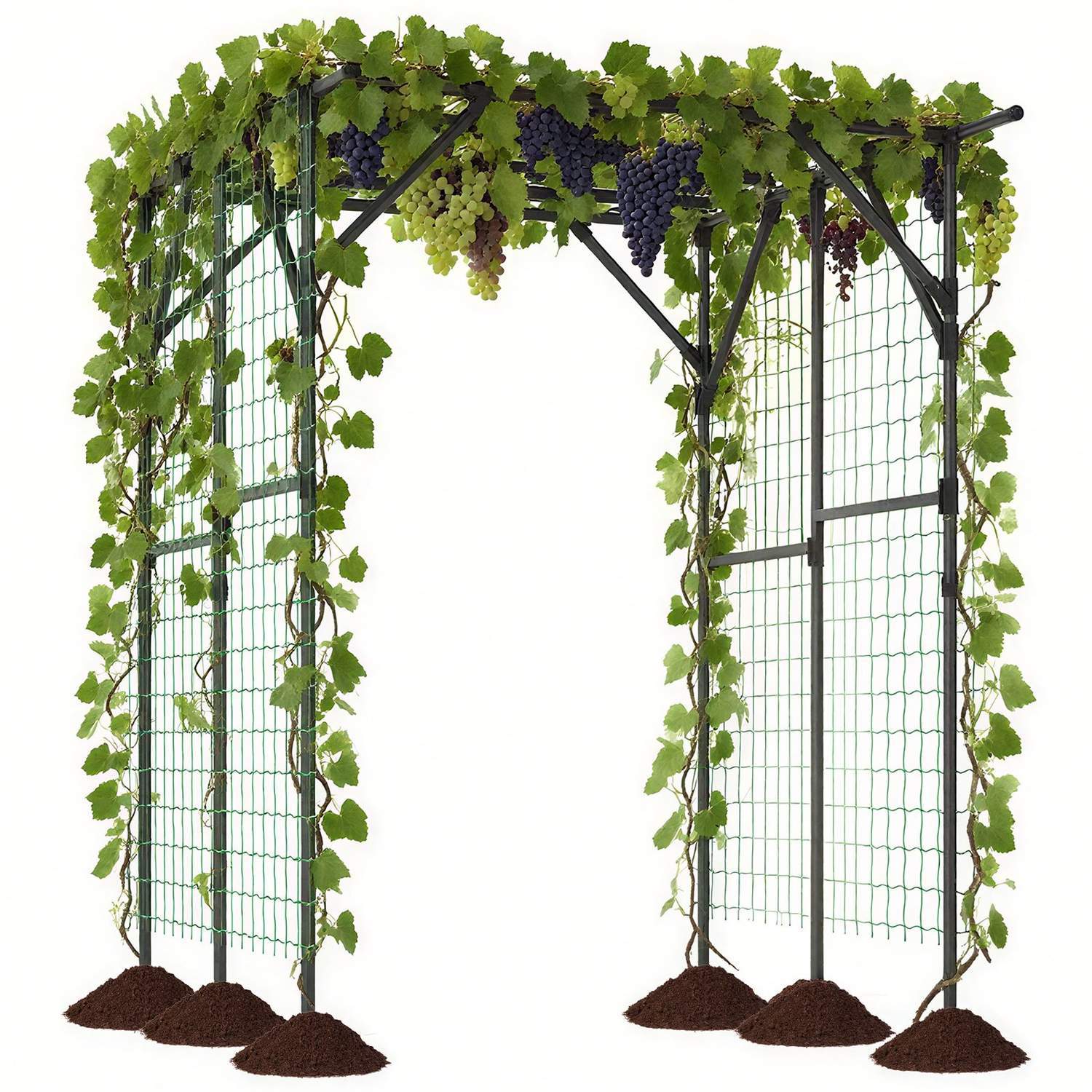 Hagebue-espalier – metall, rustbestandig, 200x150x197 cm