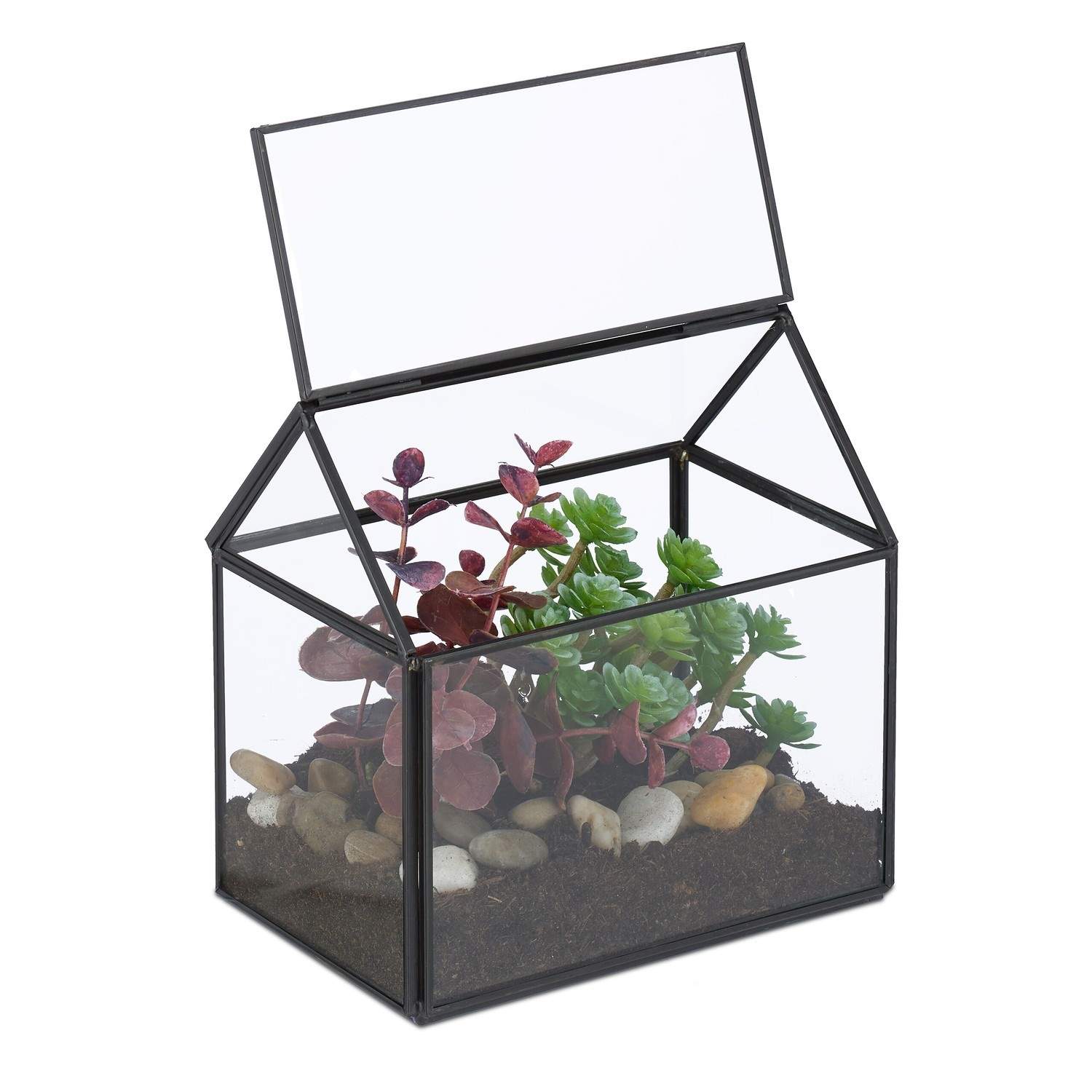 Husformet glassterrarium for sukkulenter og luftplanter