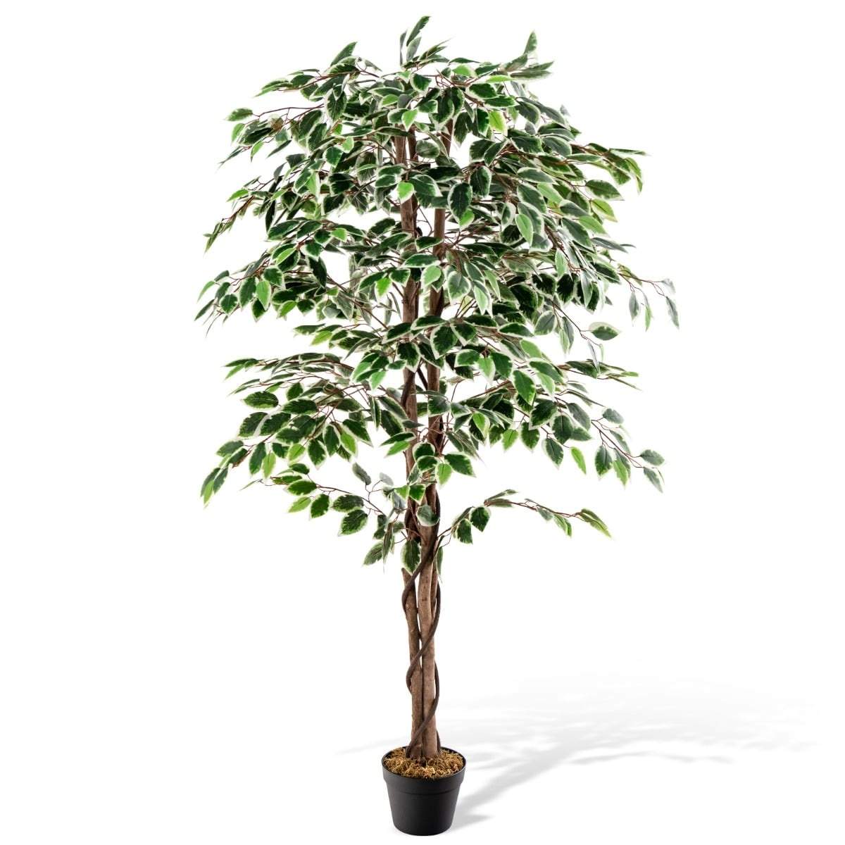 Kunstig ficus – 160 cm, 1008 blader, ekte trestamme