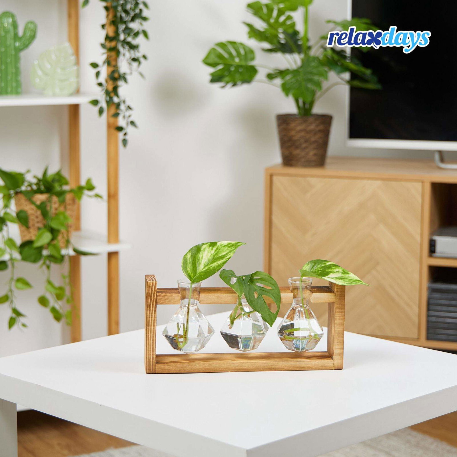 Reagensglassvase med stativ