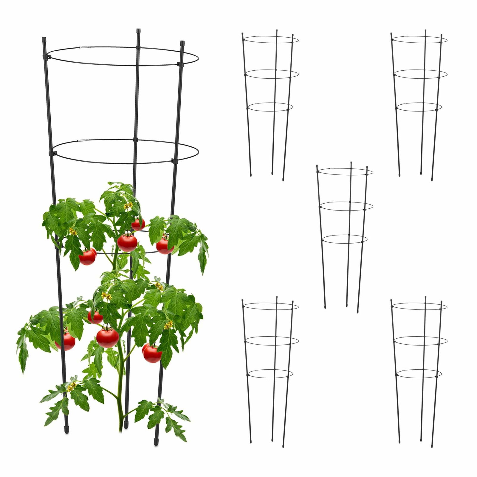 Plantestøtte 76 cm sort, sett med 6 stk