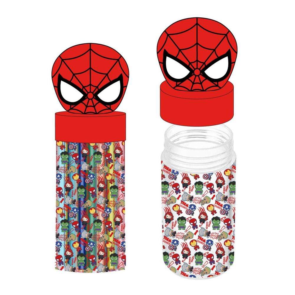 Marvel Avengers-pennal