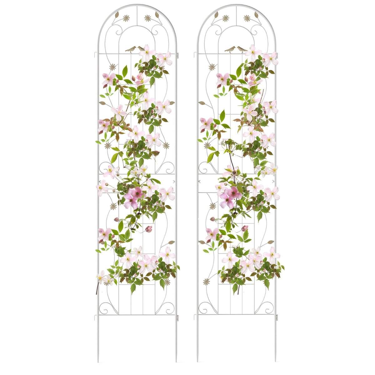 220 cm metallhageespaliersett – dekorativt, frittstående