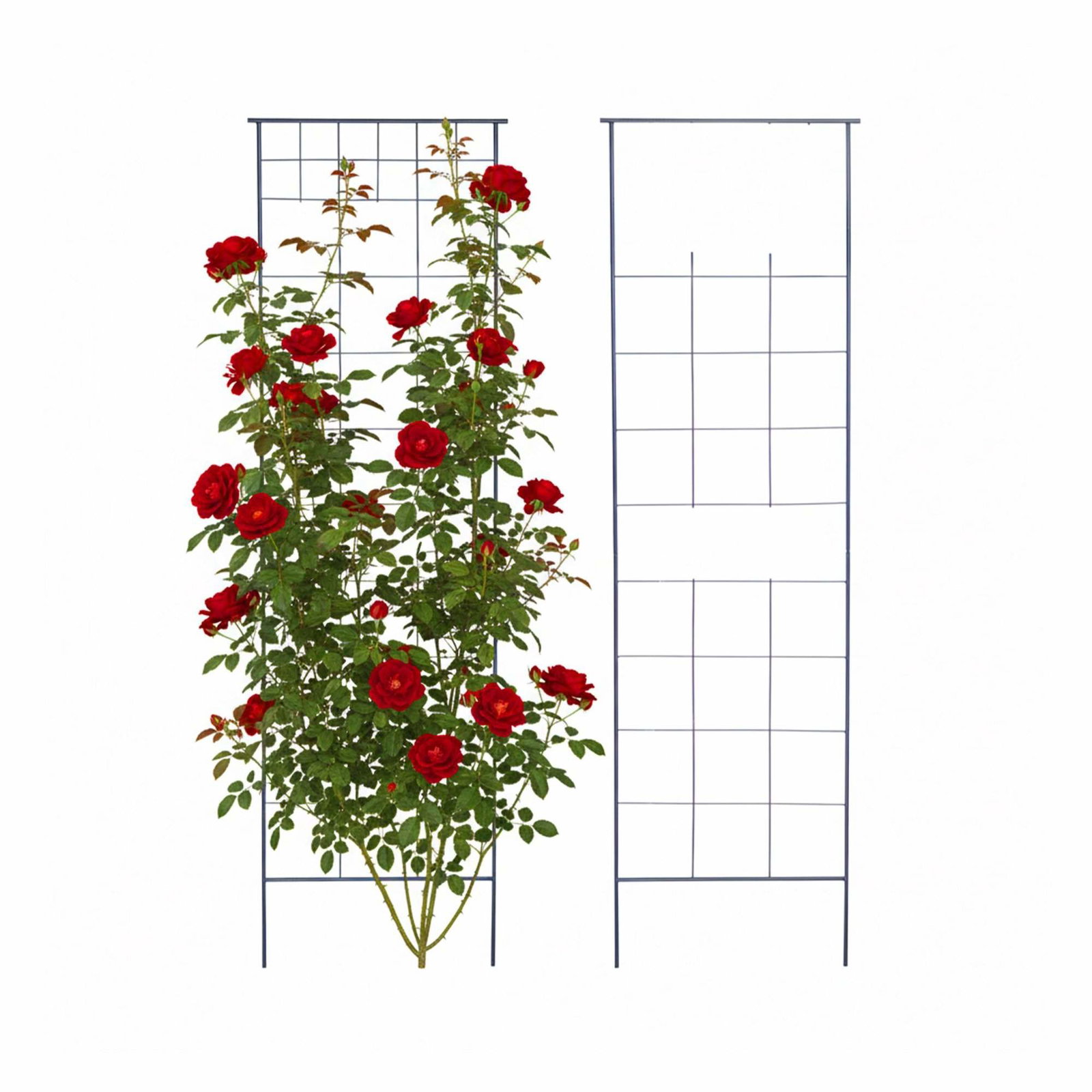 Klatreplante espalier 2-delers sett med jordspyd, stål, svart