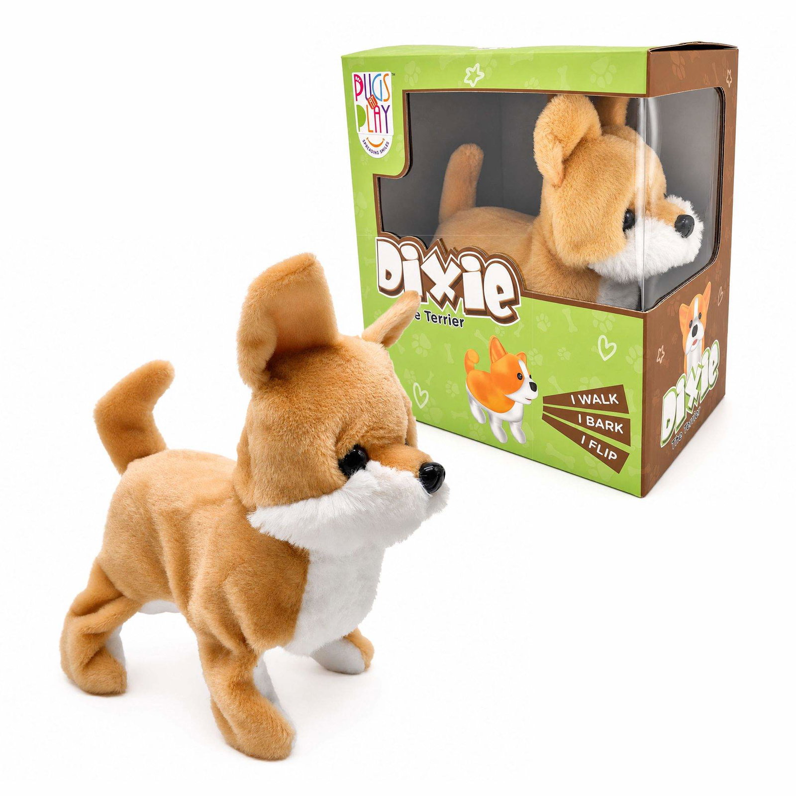 Mops på lek Dixie Terrier lekehund som går og snurrer